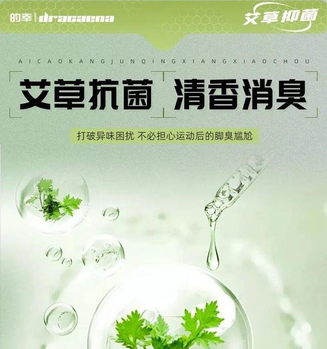 垫全方位呵护你的运动健康球王会app草本抗菌鞋(图1)