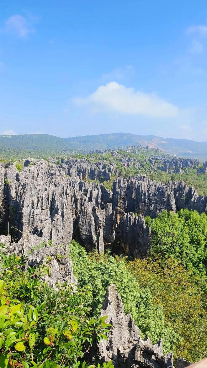 碑团?昆明评价高的旅行团推荐去云南游玩5天怎么报本地口(图2) 碑团?昆明评价高的旅行团推荐去云南游玩5天怎么报本地口(图2)